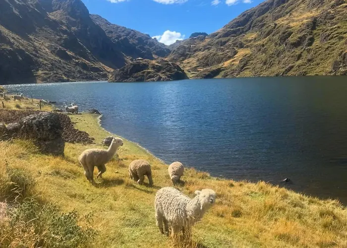 Kinsa Cocha * Pisac